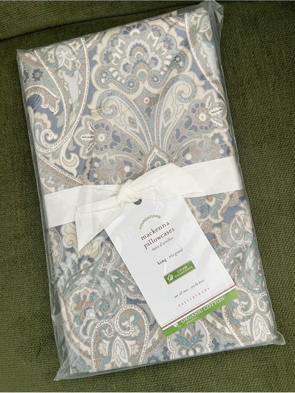 Pottery Barn Mackenna Paisley Set Of 2 King Pillow Cases